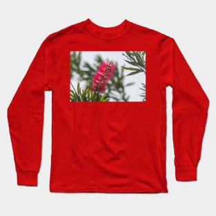 Upright Bottlebrush Bloom Long Sleeve T-Shirt